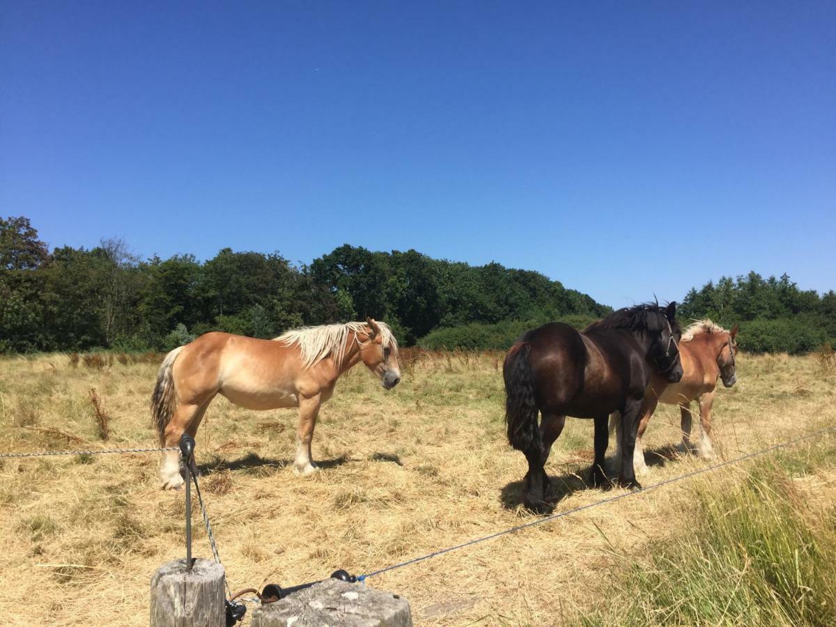 Olmenduin | Chalet 26 | Zeeland Serooskerke  Dış mekan fotoğraf